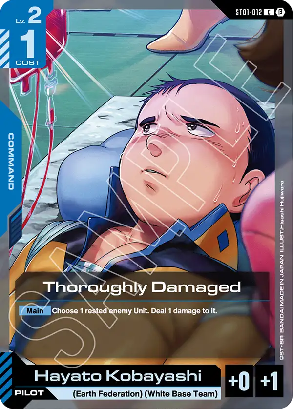 Thoroughly Damaged ST01-012