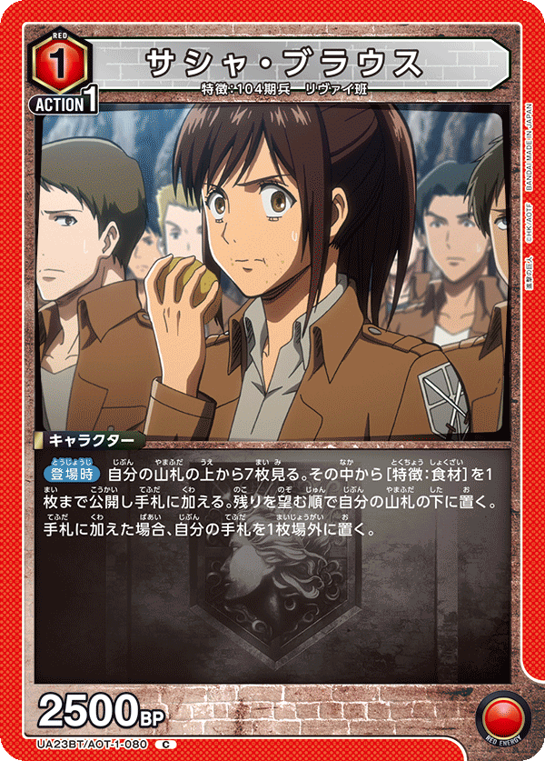 Sasha Braus UA23BT/AOT-1-080