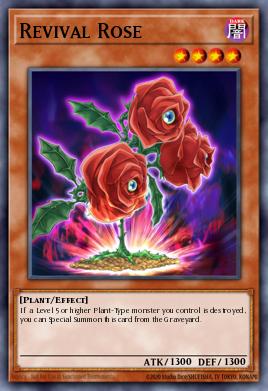 Revival Rose TSHD-EN016