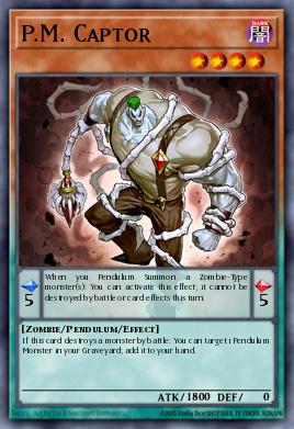P.M. Captor WSUP-EN044