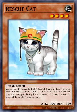 Rescue Cat MGED-EN006