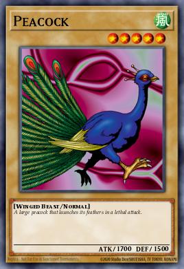 Peacock SRL-011