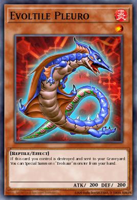 Evoltile Pleuro ORCS-EN025