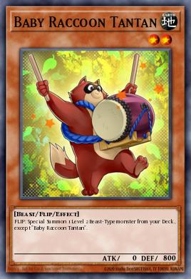 Baby Raccoon Tantan SHSP-EN015