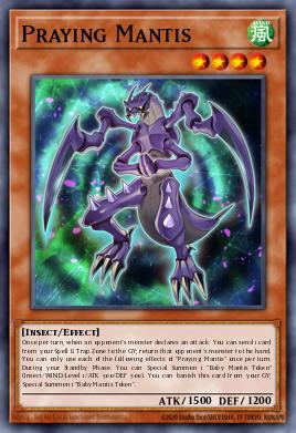 Praying Mantis BLMR-EN033