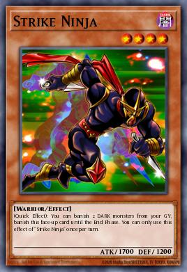 Strike Ninja DR2-EN007