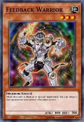 Feedback Warrior YS12-EN009