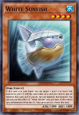 White Sunfish PHNI-EN006