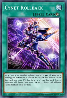 Cynet Rollback CYAC-EN051