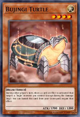 Bujingi Turtle AP05-EN009