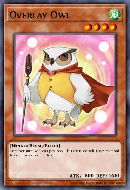 Overlay Owl GAOV-EN003