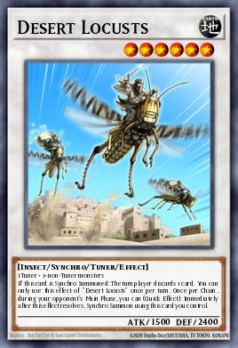 Desert Locusts CHIM-EN082