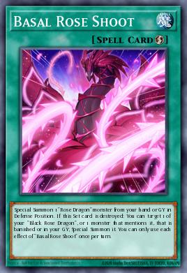 Basal Rose Shoot OP17-EN012