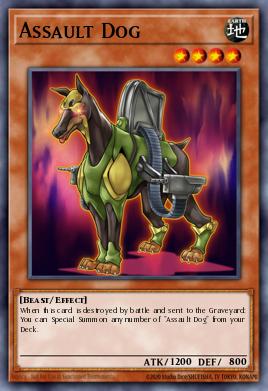 Assault Dog DLCS-EN035