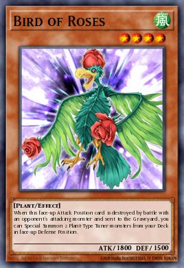 Bird of Roses TSHD-EN018
