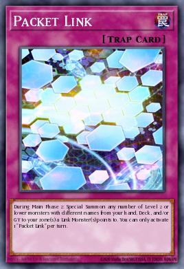 Packet Link SDPL-EN031