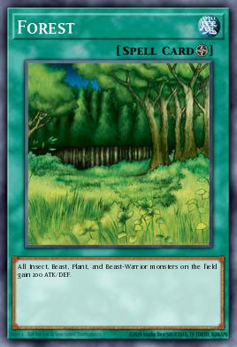 Forest SS03-ENB17