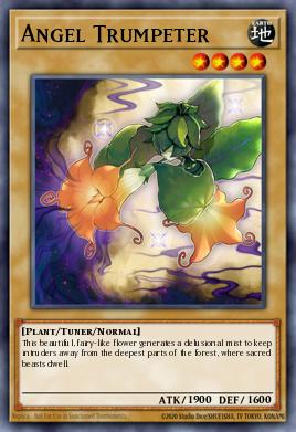 Angel Trumpeter SHVI-EN001
