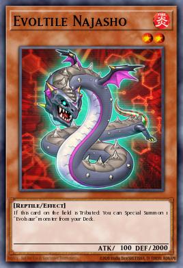 Evoltile Najasho OP22-EN015