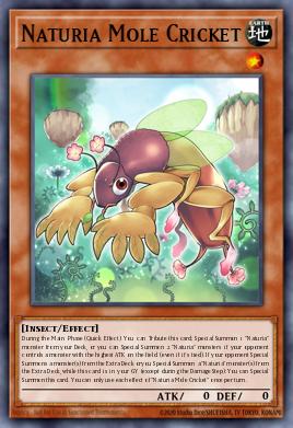 Naturia Mole Cricket DABL-EN020