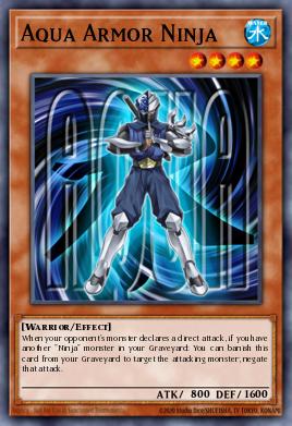 Aqua Armor Ninja ORCS-EN015