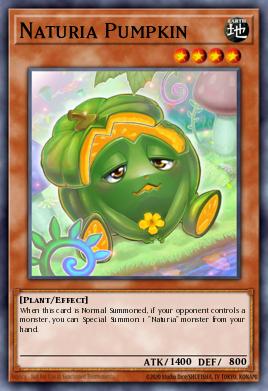 Naturia Pumpkin STBL-EN031