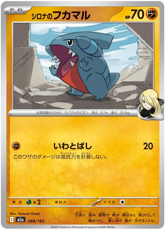 Cynthia's Gible 88