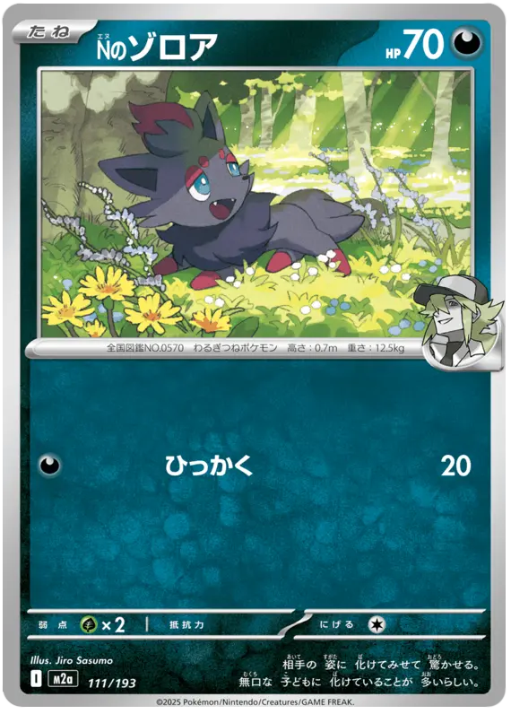 N's Zorua 111